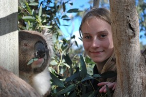 Wildpark Koalas (38)
